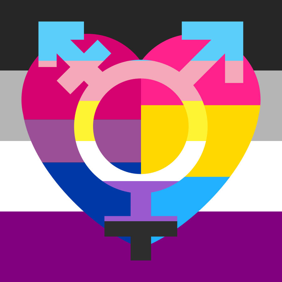 ace bi pan trans nonbinary